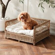 Beds and Blankets